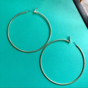 ✨Big Ol’ Hoops✨